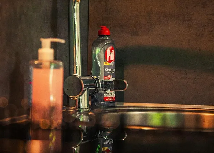 Gottwaldhaus-freiberg-apartment C Apartament Freiberg